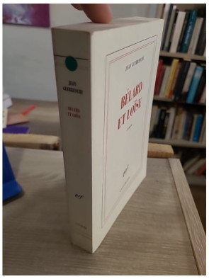 Bélard et Loïse - roman sur la passion et les relations transgressives