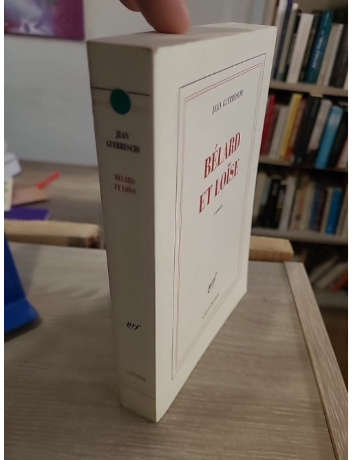 Bélard et Loïse - roman sur la passion et les relations transgressives