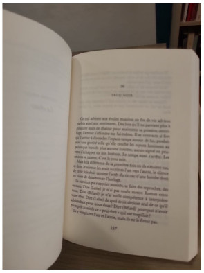 Bélard et Loïse - roman sur la passion et les relations transgressives