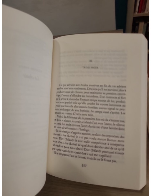 Bélard et Loïse - roman sur la passion et les relations transgressives