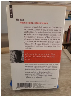 Beaux Seins, Belles Fesses - Fresque historique et familiale dans la Chine du XXe siècle