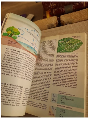 Ecologie - Guide pratique et introduction aux principes écologiques