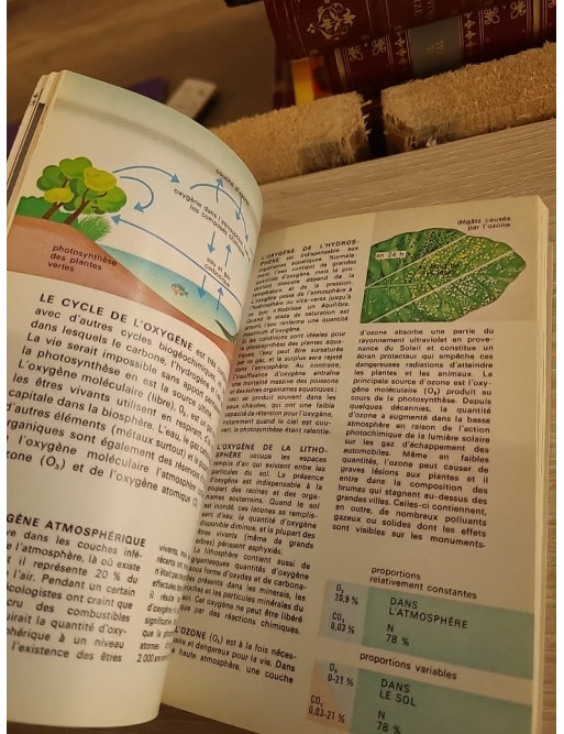 Ecologie - Guide pratique et introduction aux principes écologiques