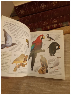 Les encyclopoches - Les oiseaux : guide illustré des espèces et de leur environnement