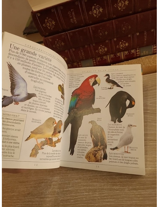 Les encyclopoches - Les oiseaux : guide illustré des espèces et de leur environnement