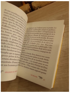Le pèlerin du désert - Réflexions d'un explorateur sur l'humanité et la sagesse