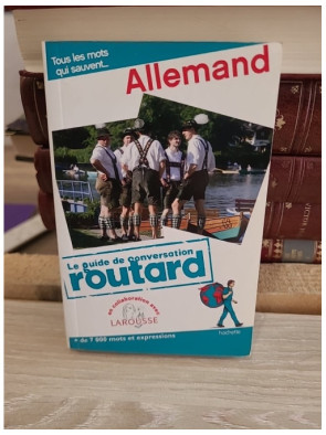 Le Routard Guide de conversation Allemand - Expressions essentielles et vocabulaire pour voyager