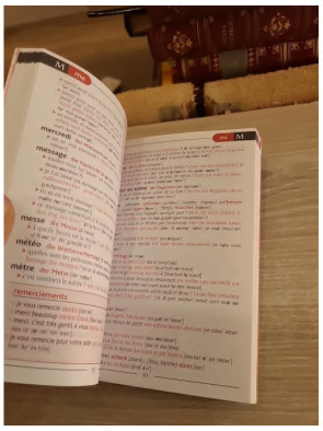 Le Routard Guide de conversation Allemand - Expressions essentielles et vocabulaire pour voyager