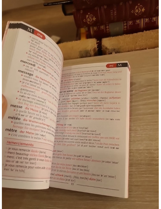 Le Routard Guide de conversation Allemand - Expressions essentielles et vocabulaire pour voyager