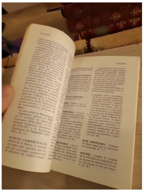 Diccionario economico de la empresa - Dictionnaire des termes économiques et de gestion