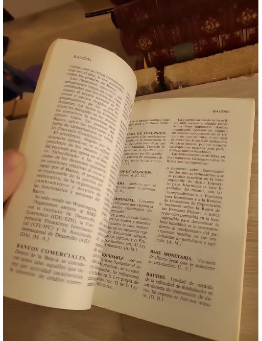 Diccionario economico de la empresa - Dictionnaire des termes économiques et de gestion