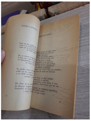 Residencia En La Tierra (1925-1935) - Recueil poétique majeur de Pablo Neruda