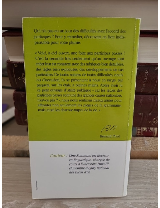 Accordez vos participes ! - Guide pratique pour maîtriser les règles d'accord en français