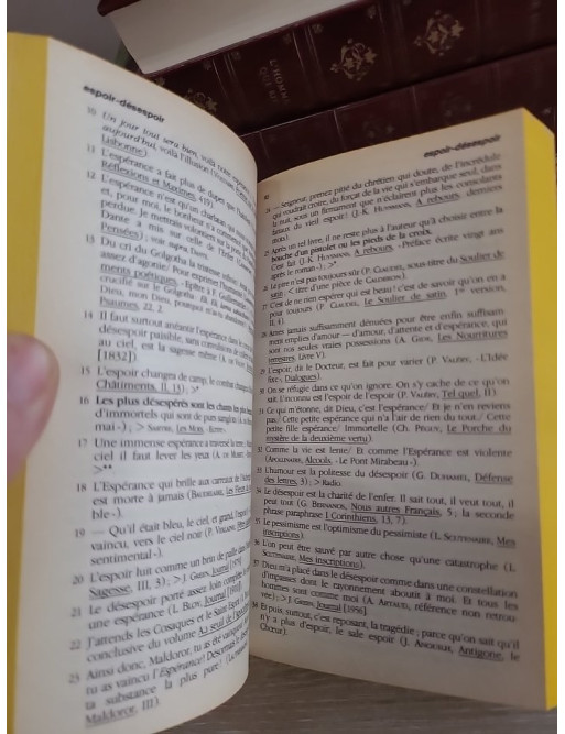 Dictionnaire des citations - Recueil thématique des grandes citations françaises et internationales