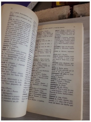 Diccionario de argot español y lenguaje popular - Dictionnaire des expressions familières et argotiques