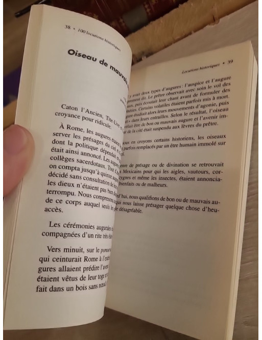 100 locutions historiques expliquées - Origine et sens des expressions françaises