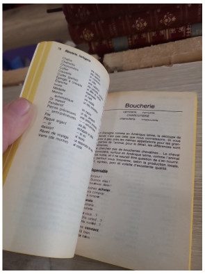 Guide pratique de conversation pour ceux qui voyagent - Espagnol latino-américain