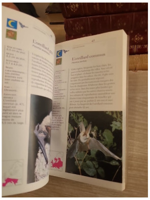 Voir nos animaux - Guide illustré des espèces européennes et de leur mode de vie