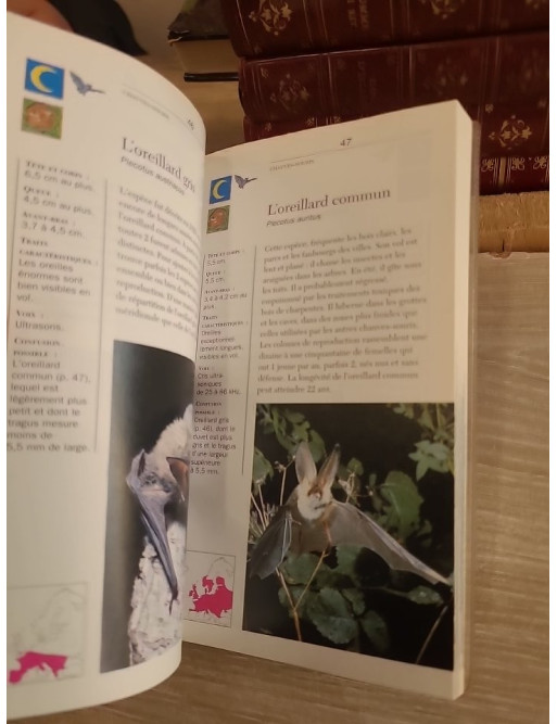 Voir nos animaux - Guide illustré des espèces européennes et de leur mode de vie