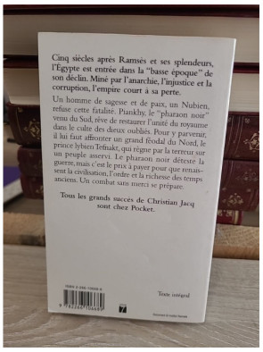 Le Pharaon noir - Roman historique sur la reconquête de l'Égypte antique