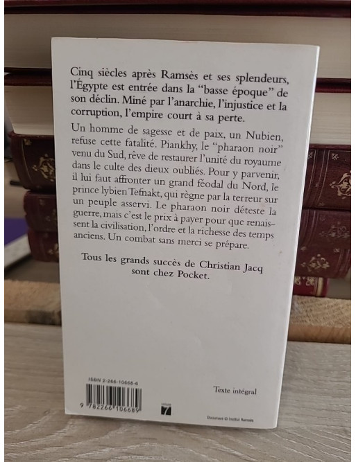 Le Pharaon noir - Roman historique sur la reconquête de l'Égypte antique
