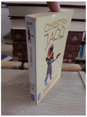 Le Pharaon noir - Roman historique sur la reconquête de l'Égypte antique