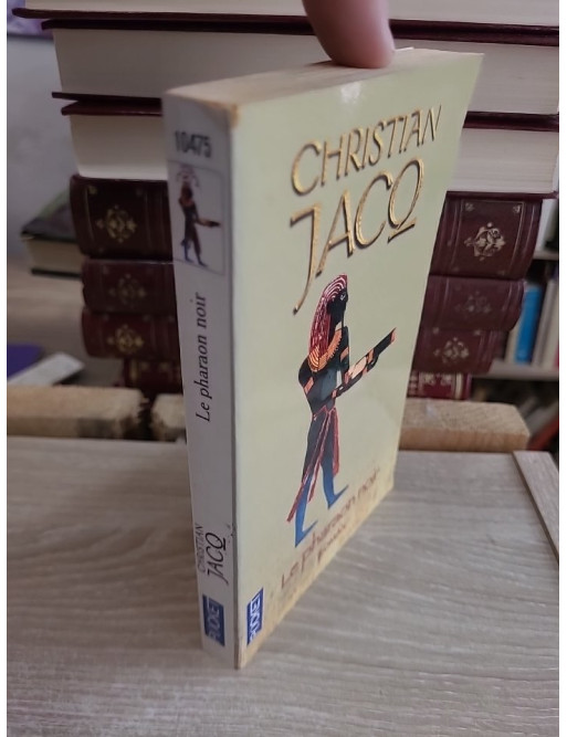 Le Pharaon noir - Roman historique sur la reconquête de l'Égypte antique
