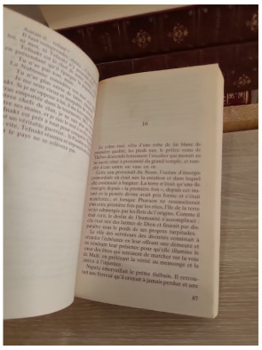 Le Pharaon noir - Roman historique sur la reconquête de l'Égypte antique