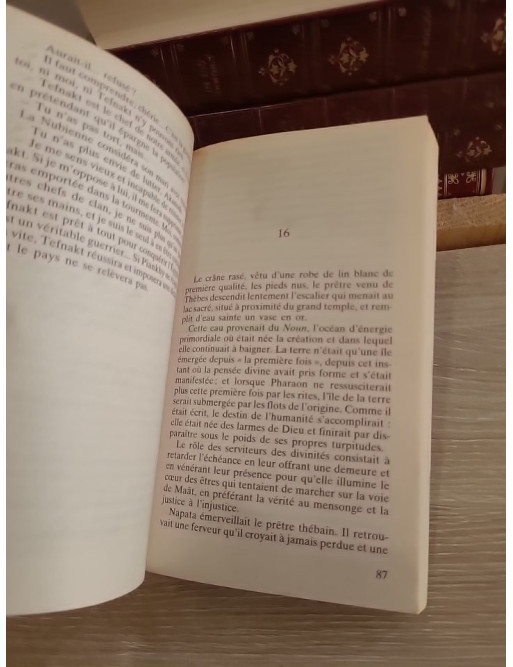 Le Pharaon noir - Roman historique sur la reconquête de l'Égypte antique
