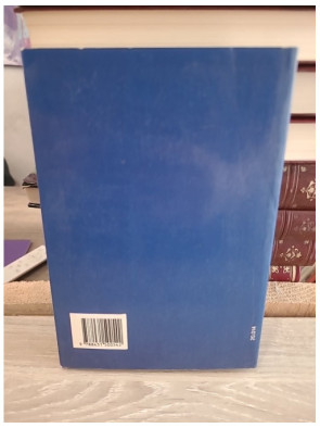 Diccionario juridico - Dictionnaire des termes juridiques en espagnol