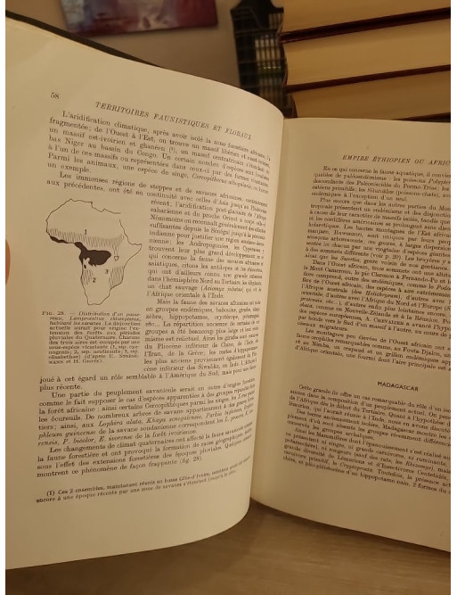 Précis de biogéographie - Principes de répartition du vivant et écologie