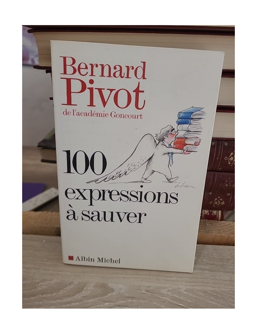 100 expressions à sauver - Recueil d'expressions françaises et de leur richesse linguistique