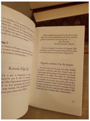 100 expressions à sauver - Recueil d'expressions françaises et de leur richesse linguistique