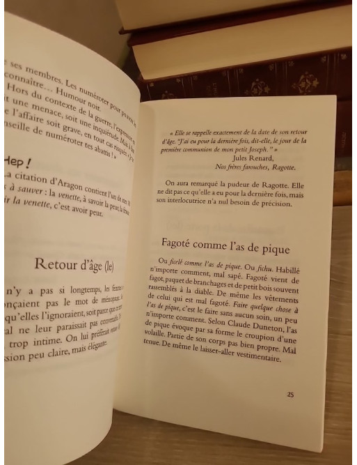 100 expressions à sauver - Recueil d'expressions françaises et de leur richesse linguistique
