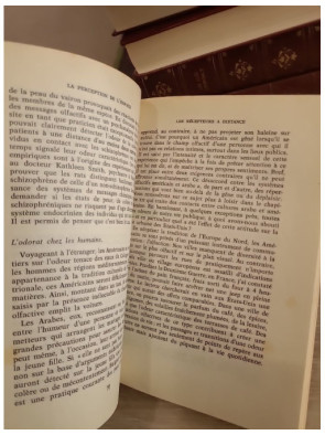 La Dimension cachée - Étude des relations humaines et de l'espace social