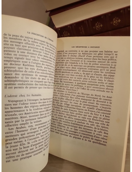 La Dimension cachée - Étude des relations humaines et de l'espace social