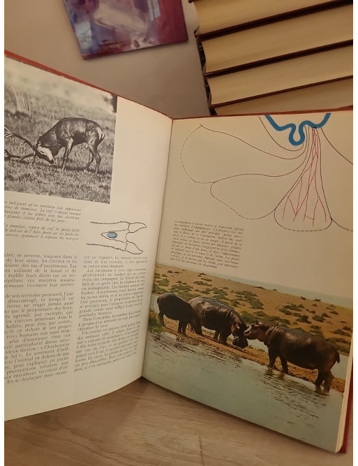 Les animaux, leur comportement - Étude du comportement animal