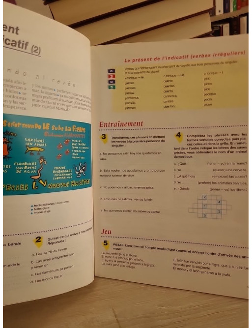 Cahier vacances 6e 5e 4e 3e - Révisions scolaires toutes matières