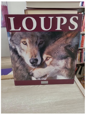 Loups - Vie, comportement et relation avec l'homme
