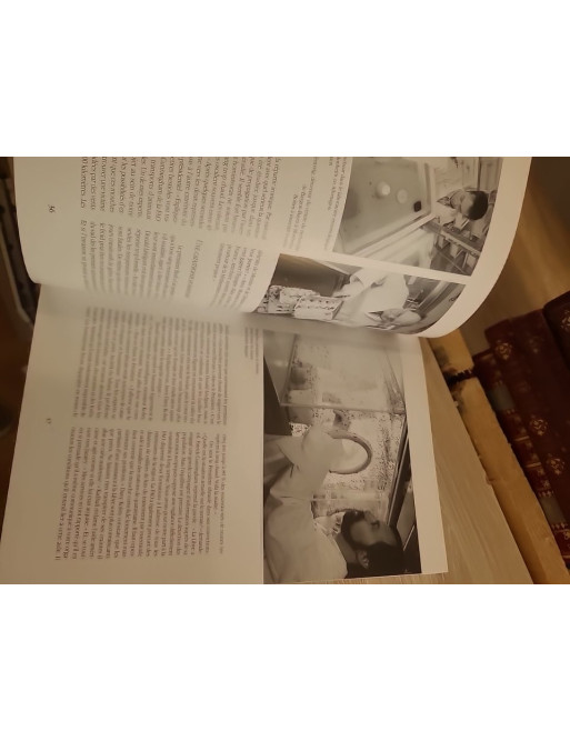 Les Mouches, le pire ennemi de l'homme - Enquête sur un fléau mondial