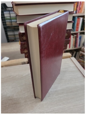 Bug-Jargal - Roman historique sur la révolte de Saint-Domingue