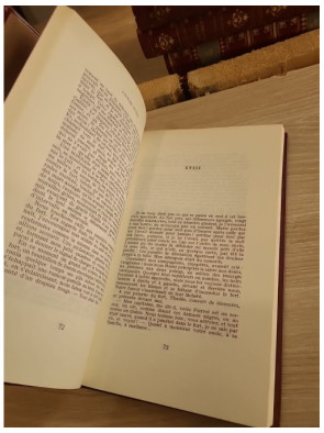 Bug-Jargal - Roman historique sur la révolte de Saint-Domingue