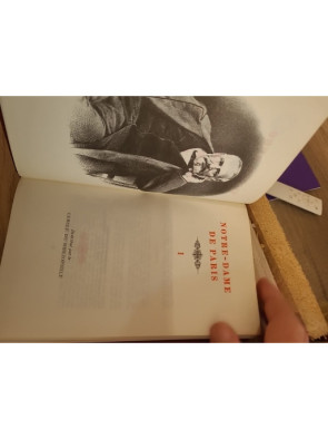 Notre-Dame de Paris - Roman historique autour de la cathédrale de Paris