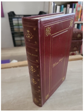 Notre-Dame de Paris - Roman historique autour de la cathédrale de Paris