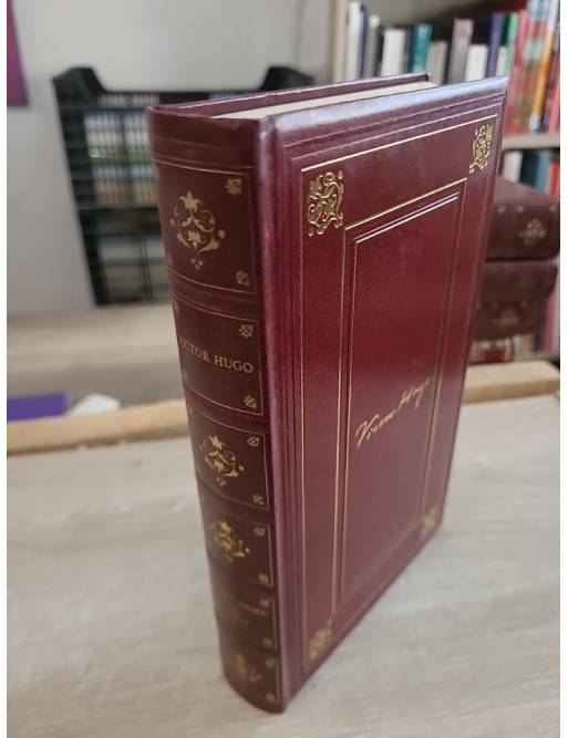 Notre-Dame de Paris - Roman historique autour de la cathédrale de Paris