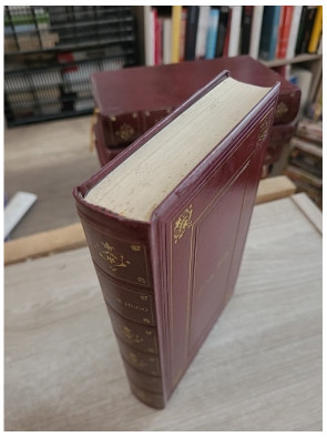 Notre-Dame de Paris - Roman historique autour de la cathédrale de Paris