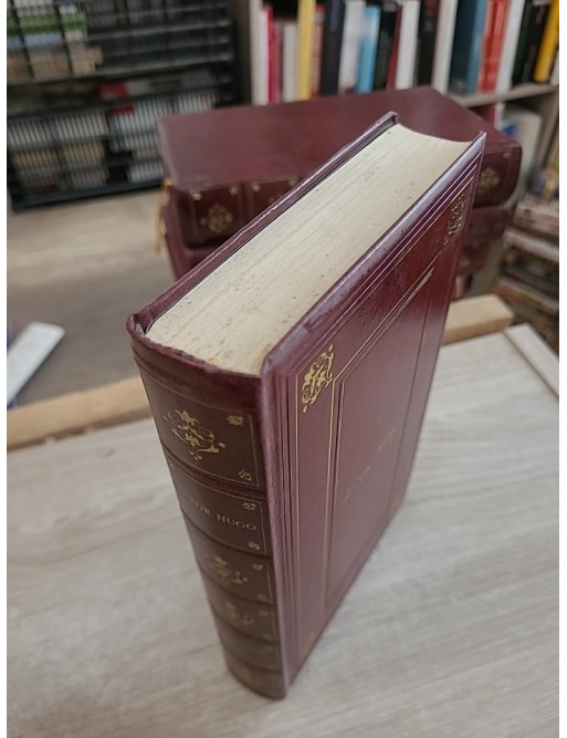 Notre-Dame de Paris - Roman historique autour de la cathédrale de Paris