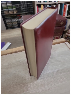 Notre-Dame de Paris - Roman historique autour de la cathédrale de Paris