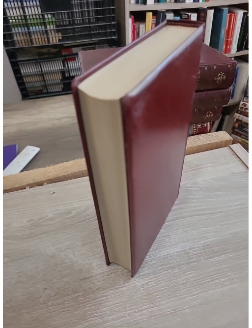 Notre-Dame de Paris - Roman historique autour de la cathédrale de Paris