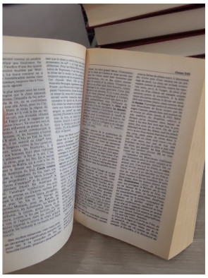 Dictionnaire des symboles - Mythes, rêves, coutumes, gestes, formes, figures, couleurs, nombres